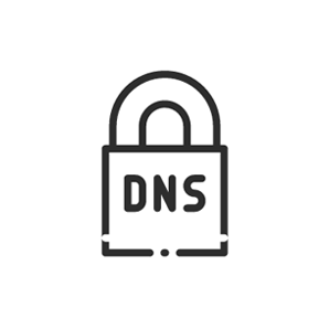 Premium DNS Hosting